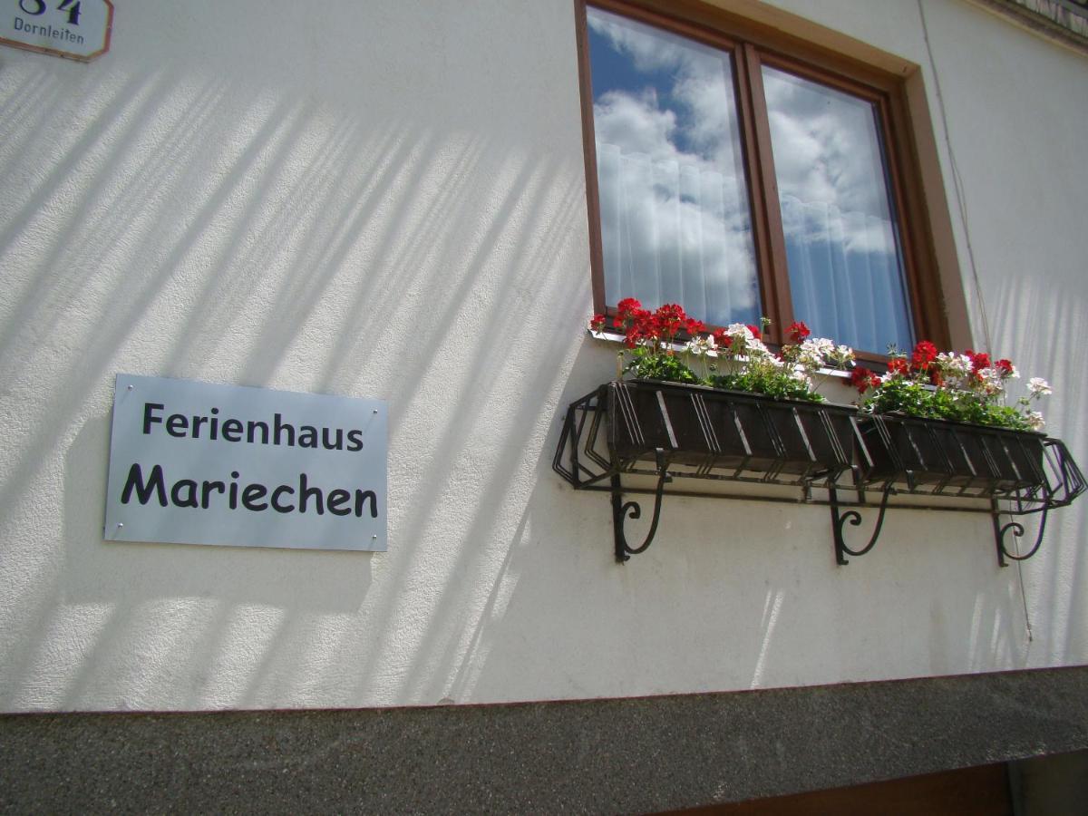 הוילה Hollenstein an der Ybbs Haus Mariechen מראה חיצוני תמונה